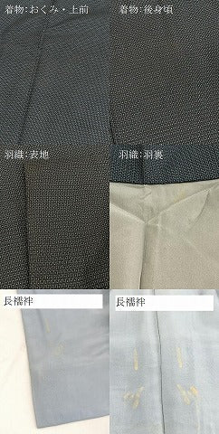 平和屋着物●男性　本場大島紬　アンサンブル　長襦袢(袷)セット　100亀甲　総詰め　正絹　逸品　BAAX3702yc