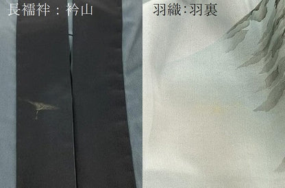 平和屋着物●男性　本場大島紬　アンサンブル　長襦袢(袷)セット　100亀甲　羽裏：富士　キングサイズ　正絹　逸品　BAAX3705yc