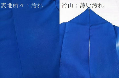 平和屋着物■訪問着　草花文　暈し染め　正絹　逸品　BAAX3721yc