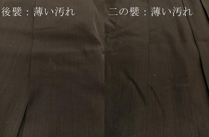 平和屋着物●男性　行灯袴　縞　正絹　逸品　BAAX3751yc
