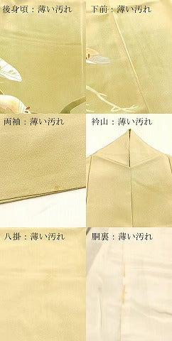 平和屋着物■豪華色留袖　笠松文　金彩　正絹　逸品　BAAX3770yc