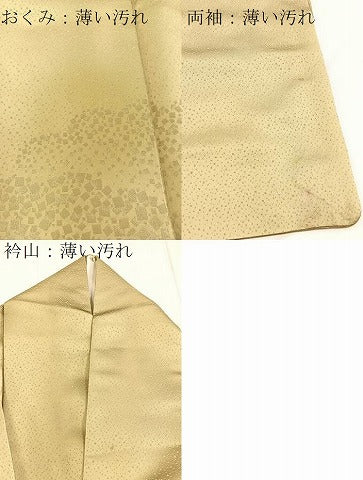 平和屋着物■豪華色留袖　寿光織　雲重ね文　正絹　逸品　BAAX3773yc