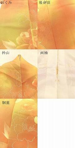 平和屋着物●上質な小紋　地紋起こし　牡丹　暈し染め　正絹　逸品　BAAX3780yc
