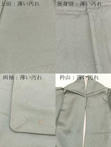 平和屋着物■訪問着　刺繍　椿文　金彩　正絹　逸品　BAAX3785yc