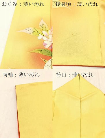 平和屋着物■訪問着　手描き　草花文　暈し染め　正絹　逸品　BAAX3789yc