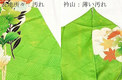 平和屋着物■豪華振袖　駒刺繍　草花文　金彩　正絹　逸品　BAAX3793yc