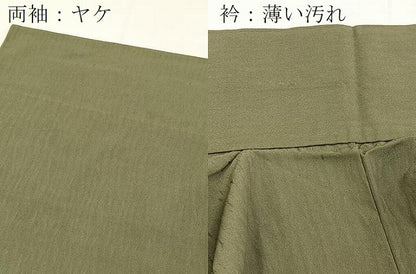 平和屋着物■訪問着　草葉文　金彩　正絹　逸品　BAAX3811yc