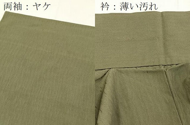 平和屋着物■訪問着　草葉文　金彩　正絹　逸品　BAAX3811yc