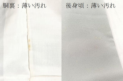 平和屋着物■江戸小紋　作家物　鮫小紋柄　暈し染め　正絹　逸品　BAAX3815yc