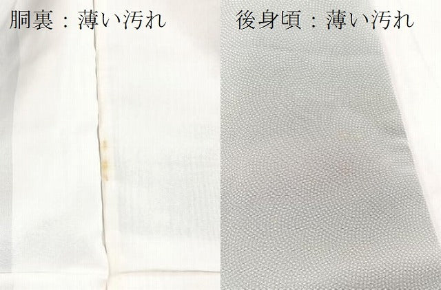 平和屋着物■江戸小紋　作家物　鮫小紋柄　暈し染め　正絹　逸品　BAAX3815yc
