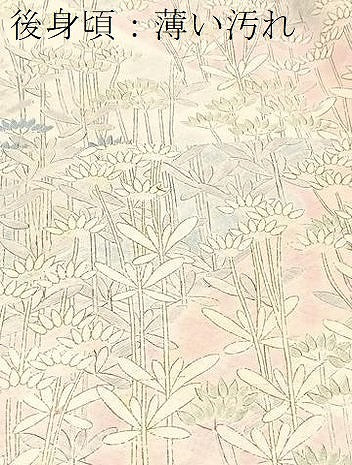平和屋着物■上質な小紋　草花文　金彩　正絹　逸品　BAAX3832yc