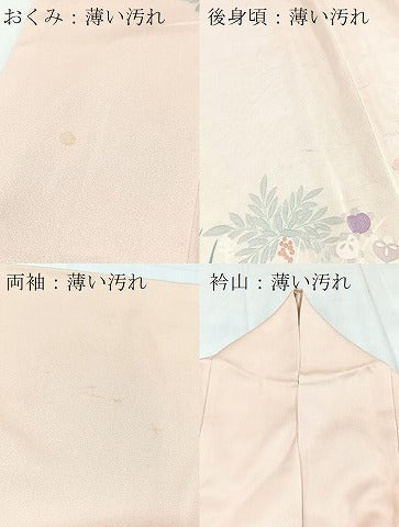 平和屋着物■訪問着　友禅　風景花文　正絹　逸品　BAAX3840yc