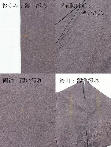 平和屋着物■上質な色無地　紋意匠　葡萄鼠色　正絹　逸品　BAAX3850yc