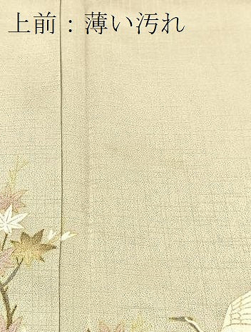 平和屋着物■豪華色留袖　御所解花鳥文　暈し染め　金彩　正絹　逸品　BAAX3861yc