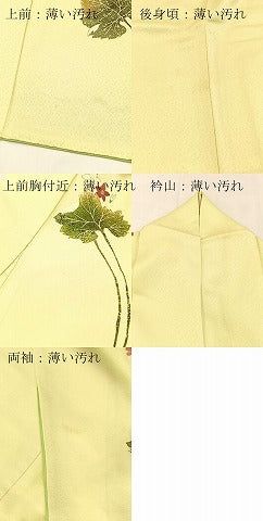 平和屋着物■訪問着　草花文　正絹　逸品　BAAX3865yc