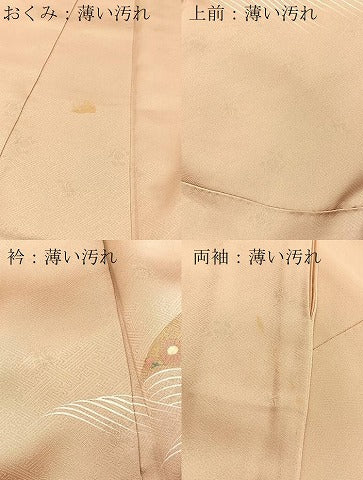 平和屋着物■訪問着　刺繍　立波花文　金彩　正絹　逸品　BAAX3869yc