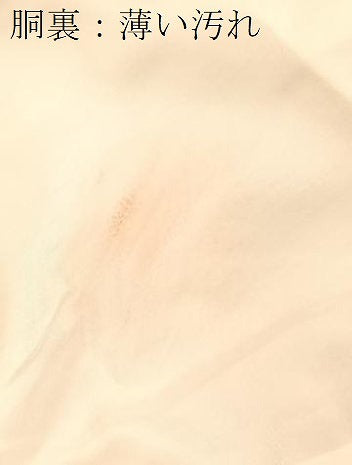 平和屋着物■上質な紬　幾何学文様　正絹　逸品　BAAX3892yc