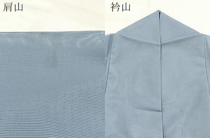平和屋着物＊夏物　訪問着　絽　手描き　飛鶴木賊文　金銀彩　洗える着物　BAAX3962yc