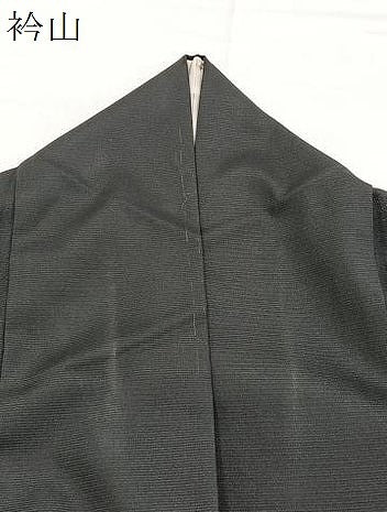 平和屋着物＊夏物　訪問着　絽　秋草文　洗える着物　BAAX3974yc