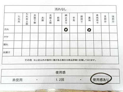 平和屋着物◎六通柄袋帯 唐織 花筏文 金糸 引箔 正絹 逸品 BAAX4111qw