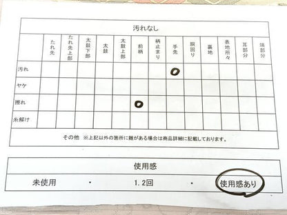 平和屋着物◎六通柄袋帯 唐織 離宮 金銀糸 引箔 正絹 逸品 BAAX4189qw