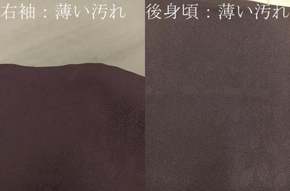 平和屋着物■訪問着　作家物　流水文　金彩　正絹　逸品　BAAX4461mz