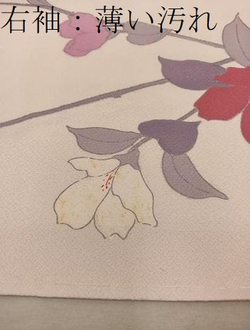 平和屋着物□上質な小紋 枝花文 金銀彩 正絹 逸品 BAAX4476mz