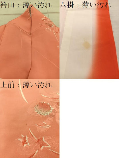 平和屋着物■上質な小紋 菊花文 地紋起こし 金糸 正絹 逸品 BAAX4482mz