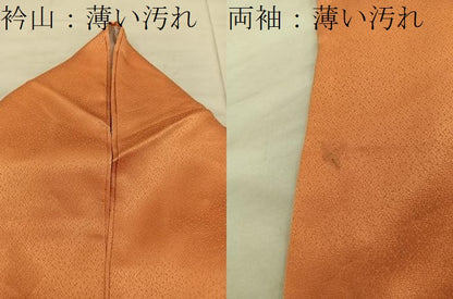 平和屋着物■訪問着 薔薇 金彩 正絹 逸品 BAAX4486mz