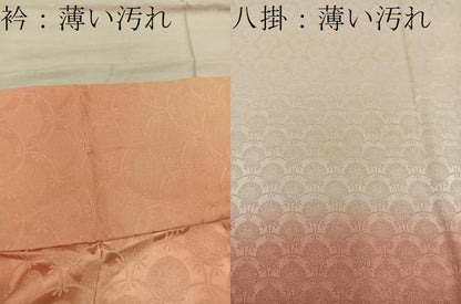 平和屋着物■上質な小紋 青海波花文 暈し染め 正絹 逸品 BAAX4497mz