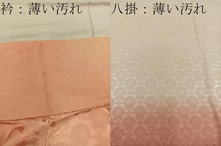 平和屋着物■上質な小紋 青海波花文 暈し染め 正絹 逸品 BAAX4497mz