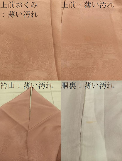 平和屋着物■上質な色無地 風景文 宍色 正絹 逸品 BAAX4503mz