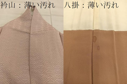 平和屋着物■江戸小紋 花菱文 正絹 逸品 BAAX4533mz