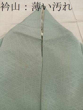平和屋着物■上質な色無地　幾何学地紋　裏葉柳色　正絹　逸品　BAAX4589mz