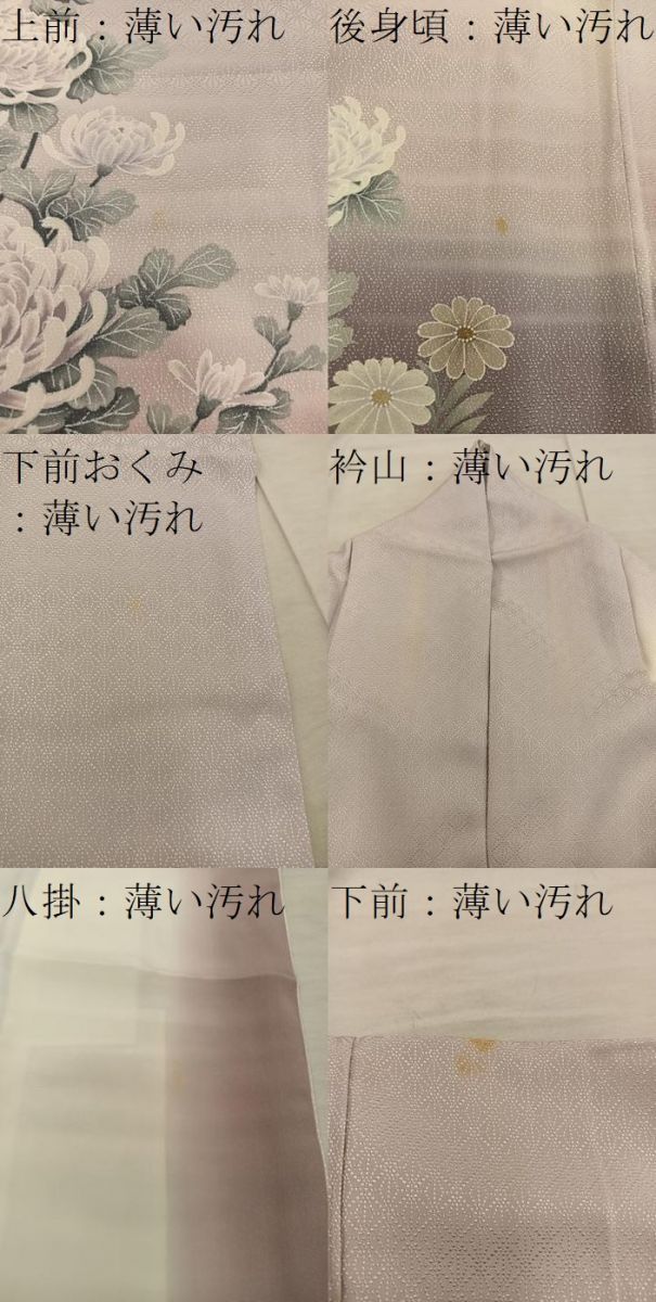 平和屋着物■訪問着　友禅　乱菊　正絹　逸品　BAAX4595mz