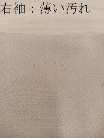 平和屋着物■訪問着 風景文 暈し染め 金彩 まるやま扱い 正絹 逸品 BAAX4598mz