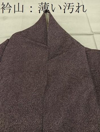 平和屋着物■江戸小紋　鮫小紋柄　正絹　逸品　BAAX4802mz