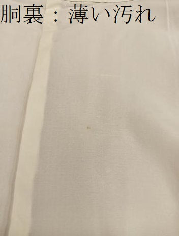 平和屋着物■江戸小紋　草花文　正絹　逸品　未使用　BAAX4824mz