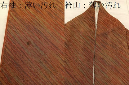 平和屋着物■上質な小紋 斜線文 正絹 逸品 BAAX4910mz