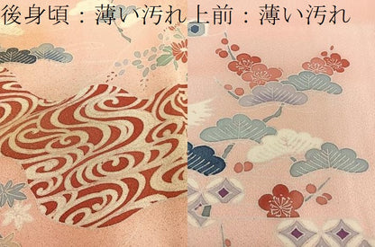 平和屋着物■訪問着 飛鶴風景花文 金彩 正絹 逸品 BAAX4990mz