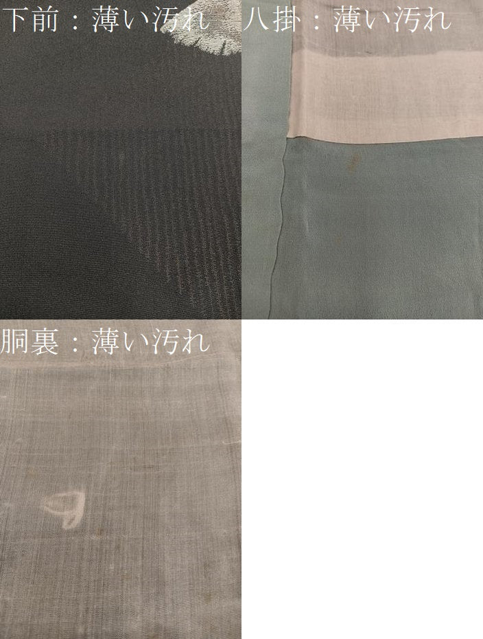 平和屋着物■上質な小紋 草葉文 黒地 金銀糸 正絹 逸品 BAAX4991mz