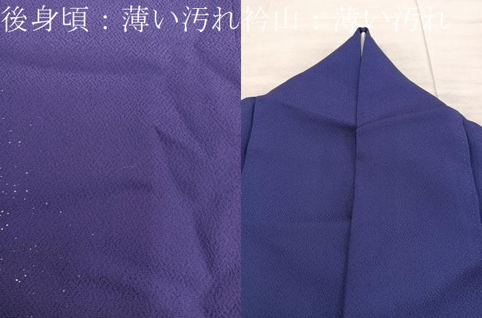 平和屋着物■中国三大刺繍　相良刺繍　訪問着　菊花文　金糸　正絹　逸品　BAAX5006mz
