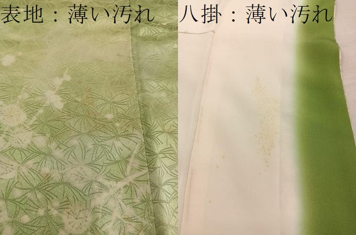 平和屋着物■上質な小紋 枝梅文 正絹 逸品 BAAX5013mz
