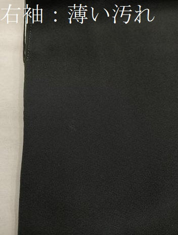 平和屋着物■豪華黒留袖 作家物 四季万葉 暈し染め 金彩 正絹 逸品 BAAX5022mz