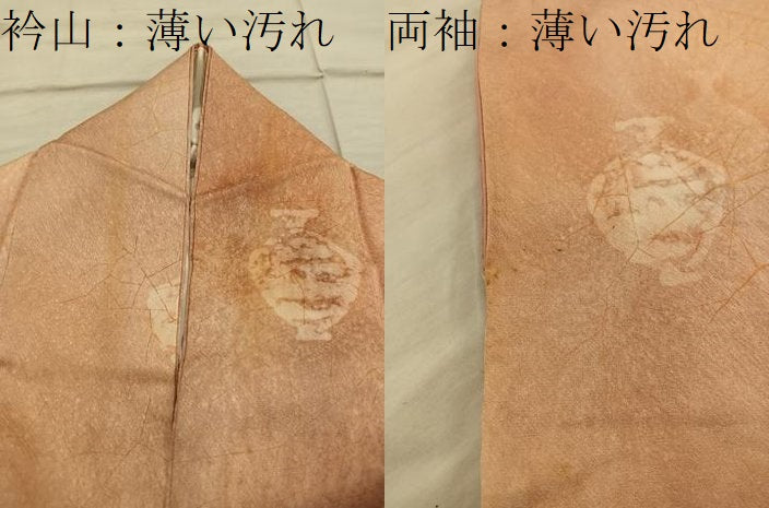 平和屋着物■上質な小紋　陶器文　正絹　逸品　BAAX5030mz