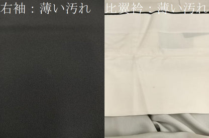 平和屋着物■豪華黒留袖 友禅 飛鶴花文 やまと誂製 正絹 逸品 BAAX5041mz