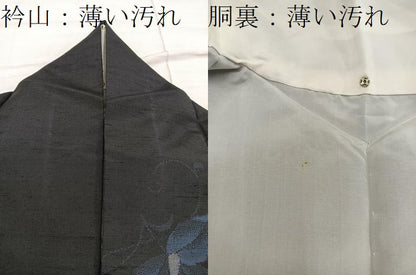 平和屋着物■上質な紬　草花文　黒地　正絹　逸品　BAAX5045mz
