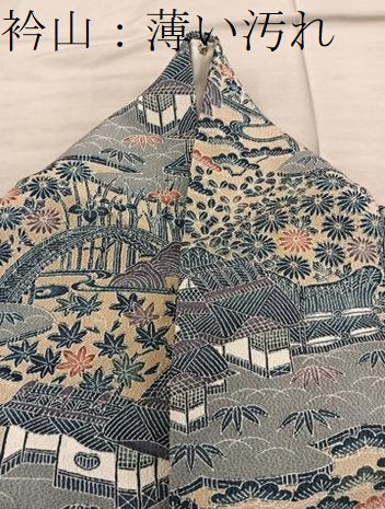 平和屋着物■上質な小紋 型染め 風景花文 鬼しぼ縮緬 正絹 逸品 BAAX5055mz