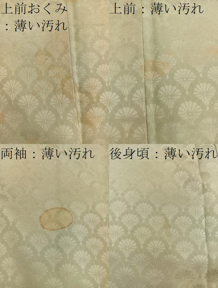 平和屋着物■上質な小紋 菊青海波 暈し染め 正絹 逸品 BAAX5057mz