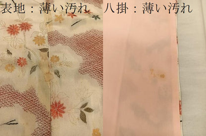 平和屋着物■上質な小紋　枝花文　寿光織　正絹　逸品　BAAX5106mz